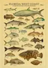Paintings Marine Fish Poster Kraft Artistic Picture Fashionable Room Gift Cool Wall Bar Decorative Bedroom Painting