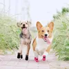 Hundkläder 4st Cat Cotton Shoes Waterproof Winter Boots Anti-Slip Valp Rain Snow Booties Chihuahua Footwear For Small Pet