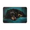 Carpets Adorable Dachshund Doormat Bedroom Printed Carpet Entrance Door Floor Balcony Furry Absorbent Rug Mat Area Rugs