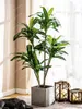 Decoratieve bloemen Stille windcodering Simulatie Groene plant Brazilwood Pot Nepbomen Sago Cycas Binnenwoonkamer Vloerdecoratie