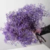 Natural Dried Baby Braath Flowers Gypsophila Bridal Bouquets Valentines Day Gift Boho Home Decor Paniculata Wedding Decoration 240130