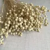 Dekorative Blumen, 35 cm/40 g, echte natürliche getrocknete kleine Leinsamen, Obststrauß, trockene Jumble-Perlen, Blumenarrangements für Hochzeitsdekoration