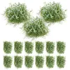 Flores decorativas 25pcs artificial falso grama tufo mini jardim modelo clusters modelos planta ornamento