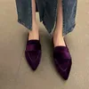 Women Luxury Velvet Moccasins Fashion Pointed Toe Loafers Ladies 2023 Spring Purple Velour Ballet Flat Shoes 240130