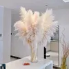 50cm Dried Flowers Bouquet Pampas Grass Reed Fleurs Sechees Flores Artificial Flowers Home Decor Christmas Wedding Decoration 240130