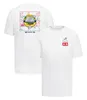 2024 Ny F1 Team T-shirt Formel 1 Special Edition Graphic Print T-shirt Driver Polo Shirt Jersey Summer Mens kortärmad T-shirt