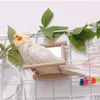 Autres fournitures d'oiseaux 1pc miroir pour animaux de compagnie jouet de jeu en bois avec perche pour perroquet perruches perruche calopsitte conure Finch inséparable Cage Calopsita