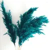 Decorative Flowers 5pcs/lot Large Pampas Grass Dye Natural Black Reed Flores For Living Room Shop Meeting Decortion Free Shopping