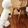 Dog Apparel Pet Bottoming Shirt Puppy Solid Color Clothes Winter Teddy Warm Two Legged Clothing Poodle Fashion Pullover