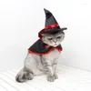 Costumi per gatti Costume di Halloween Abbigliamento per animali Mantello magico con cappello Forniture natalizie per cani Decorazioni per cosplay