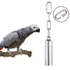 Autres fournitures d'oiseaux 1pc perroquet jouet belle suspension cloche cage morsure en acier inoxydable écureuil pigeon balançoire support jouets cloches