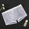 Underbyxor mäns ultratin transparenta undewear män sexiga sömlösa trosor byxor man mid-rise mesh boxershorts boxer shorts