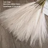 Kwiaty dekoracyjne 5/10pcs puszysty pampas suszony bukiet home wystrój naturalny królik trawę trawę sztuczna dekoracja świąteczna