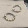 無料のイヤリングゴールドデザイナーBijoux Jewelry Woman Earringファッション豪華な海運フックツイストワイヤーバックルイヤリング14Kイエローメッキ付きスターリングシルバー