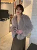 Faux pälsrock Autumn/Winter Coat Women High Imitation Fox Päls Fake Fur Short Coat Korean Fashion Women Jacket 240124