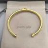 Twisted Braclet Bracelet Wire Round Head Dy Bracelets Designer Cable X Gold Sier Women Fashion Versatile Platinum Plated Hemp Trend Hot Selling Jewelry