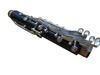 YCL 250 BB Clarinet Musical Instrument Hard Case