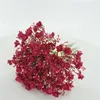 装飾的な花の手花園人工植物家の装飾プラスチックフラワーガーデンデコレーションアウトドアウェディングステージレイアウトサプライ偽物
