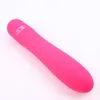 Produits de jouets sexuels produits masseur de vibrations à tige tenace appareil de masturbation fréquence variable pour femmes amusant pour adultes 231129