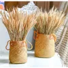 100 Pz / lotto Vero Spiga di Grano Fiore Fiori Secchi Naturali Per La Decorazione Della Festa Nuziale Fai Da Te Scrapbook Home Decor Bouquet di Grano2523