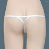 Calcinha feminina g-string sheer t-back tangas senhoras ver através de malha roupa interior mulher transparente ultra-fino lingerie erótica