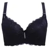 Sutiãs 3/4 xícara renda push up sutiã sexy mulheres roupa interior bralette seção fina c d e para tamanho grande