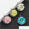 Charms Fashion Colorf Dried Flower Small Daisy Charm For Jewelry Making Handmade Glass Pendant Fit Necklace Diy Kids Drop Delivery Jew Dhb1Z