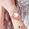 Orologio da donna al quarzo luminoso con dea del diamante Cintura in maglia di acciaio inossidabile Orologi da polso da donna resistenti all'usura Natura Bellezza Semplice Tw216m