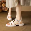 Sandals 2024 Women Microfiber Summer Retro Ladies Open Toe Shoes Beige Apricot Square Heeled Fashion Casual Women's