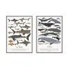 Deep-Sea Fish Sharks Cetacea Science Poster Animal World Deco Painting English Education Canvas Picture Art Print Wall Kids Room 240127