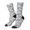 Men's Socks LOVE Baby Blue Dachshund Sausage Dog Male Mens Women Autumn Stockings Polyester