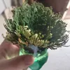 Decorative Flowers Natural Big Jericho Rose Dried Selaginella Tamariscina Balls Diy Resin Jewelry Crafts Candle Making Home Garden