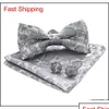 Bow Ties Klasik Paisley Mens Bow Tie seti düz renkli iki katmanlı iki katlı Bowties Cep Meydan