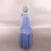 Perruque de Cosplay Akame Ga KILL Esdeath, cheveux longs et lisses bleus de 100cm, 2399