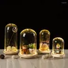 Vaser glasblomma display cloche bell jar terrarium flaska med trä evigt täckning fötter ledande ljus