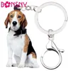 Sleutelhangers Bonsny Verklaring Acryl Beagle Hond Sleutelhangers Sleutelhanger Ring Mode Dierlijke Sieraden Voor Vrouwen Meisjes Tas Auto Charms Groothandel