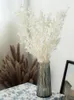 Dekorativa blommor naturliga verkliga ruskslöv torkad bukett vit eukalyptusgrenar för hemrumsdekor bröllopsarrangemang dekoration