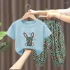 Kledingsets Katoenen kinderset Baby Jongen Meisje 2 STUKS Pak Zomer Cartoon Konijn Patroon T-shirts Top En Haren Broek Kinderloungewear