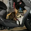 Abbigliamento per cani Casco e occhiali da sole per cani Occhiali con protezione UV Cappello sportivo Pet Moto Sicurezza dura