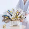 Dekorativa blommor 2st torkade blommor Floral Foam Blocks Diy Home Decor Artificial Pampas Grass Wedding Arrangement Brick