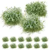 Декоративные цветы, 25 шт., искусственная трава, пучок мини-сада, модели кластеров, растительный орнамент