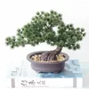 Fleurs décoratives artificielles, plante de pin de bienvenue en pot, petit bonsaï vert d'intérieur, fausse fleur de bureau, décoration pour la maison