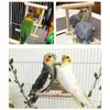 Autres fournitures d'oiseaux 1pc miroir pour animaux de compagnie jouet de jeu en bois avec perche pour perroquet perruches perruche calopsitte conure Finch inséparable Cage Calopsita