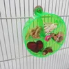 Inne zapasy ptaków obracają zabawki papugi dla zwierząt kół ugryzienie ptaki Żucie żerujące pudełko na żywność karmnik Vogel Speelgoed Accessoires
