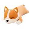 عملاق لطيف Corgi Dog Plush Plush محشوة لينة أسفل القطن ألعاب Kawaii Shiba inu دمى لعيد الميلاد هدية 240131