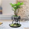 Wazony lewitujący powietrze bonsai doniczka pulpit kwiatowy ogród sadzarki w biurze rośliny biuro uzupełniająca do dekorów domowych 230603 upuść zależność dhdxq