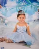 Vestidos bonitos da menina de flor princesa uma linha ilusão manga longa apliques renda cetim espumante fofo tule menina pageat vestidos da criança formal festa de aniversário usa