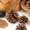 Flores decorativas 1-10pcs pinhões naturais frutas secas cones de abacaxi artificial para casa natal diy guirlanda decoração de casamento