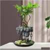 Wazony lewitujący powietrze bonsai doniczka pulpit kwiatowy ogród sadzarki w biurze rośliny biuro uzupełniająca do dekorów domowych 230603 upuść zależność dhdxq