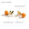 Dangle Earrings Juicy Grape Orange Garnia Drop Sweet Fruit FlowerEaring for Women 925 Sterling Silveredle Christm